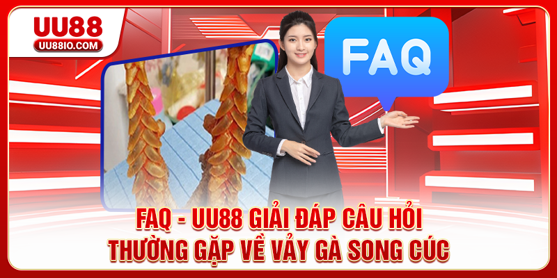 FAQ - UU88 giải đáp câu hỏi thường gặp về vảy gà Song Cúc
